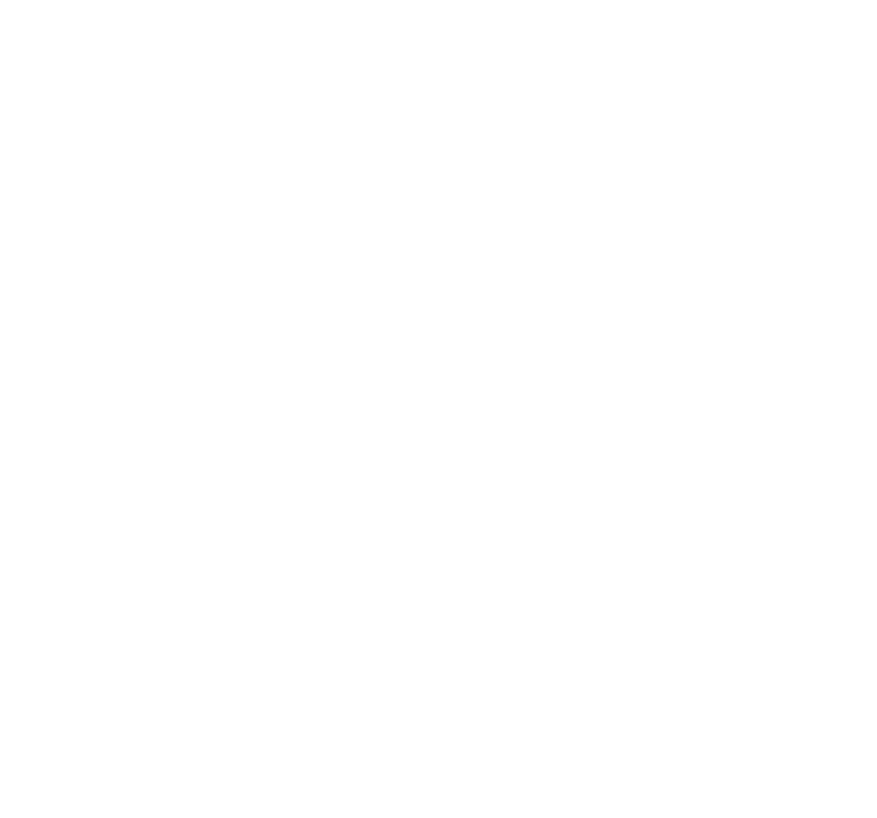 Neon White logo